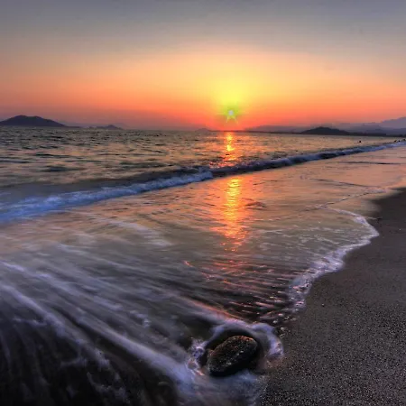 Hera Vila
